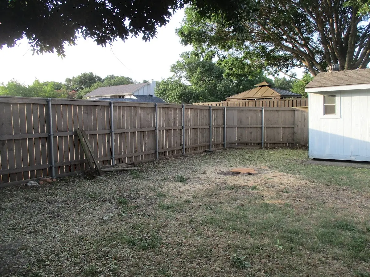 Cleared yard after professional tree removal in Canton Center
